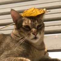 逼一逼逼逼逼