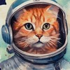 🔆大陸抖音-憨憨互聯趣-Dcard最有名代購/抖音資深玩家所有問題都可以詢問/內地各大直播平台代購