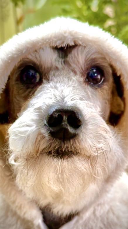 『お笑いライブトーク劇場』【承認なし】【年齢制限なし】