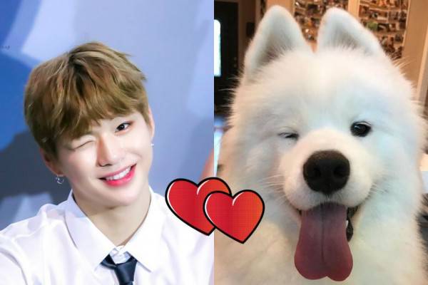 9 Idola Kpop Cowok Ini Sering Disebut Mirip Anak Anjing Imut Maksimal