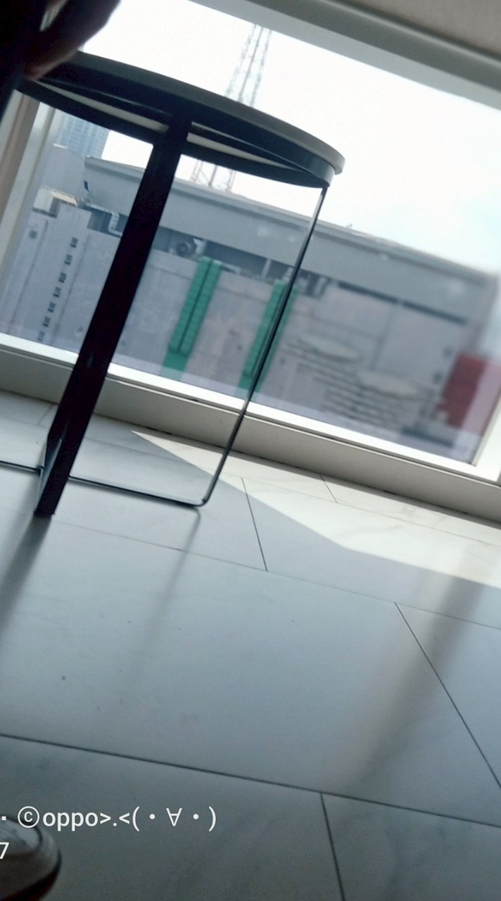 🪻☘️🪻☘️