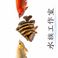 興豪精品水族