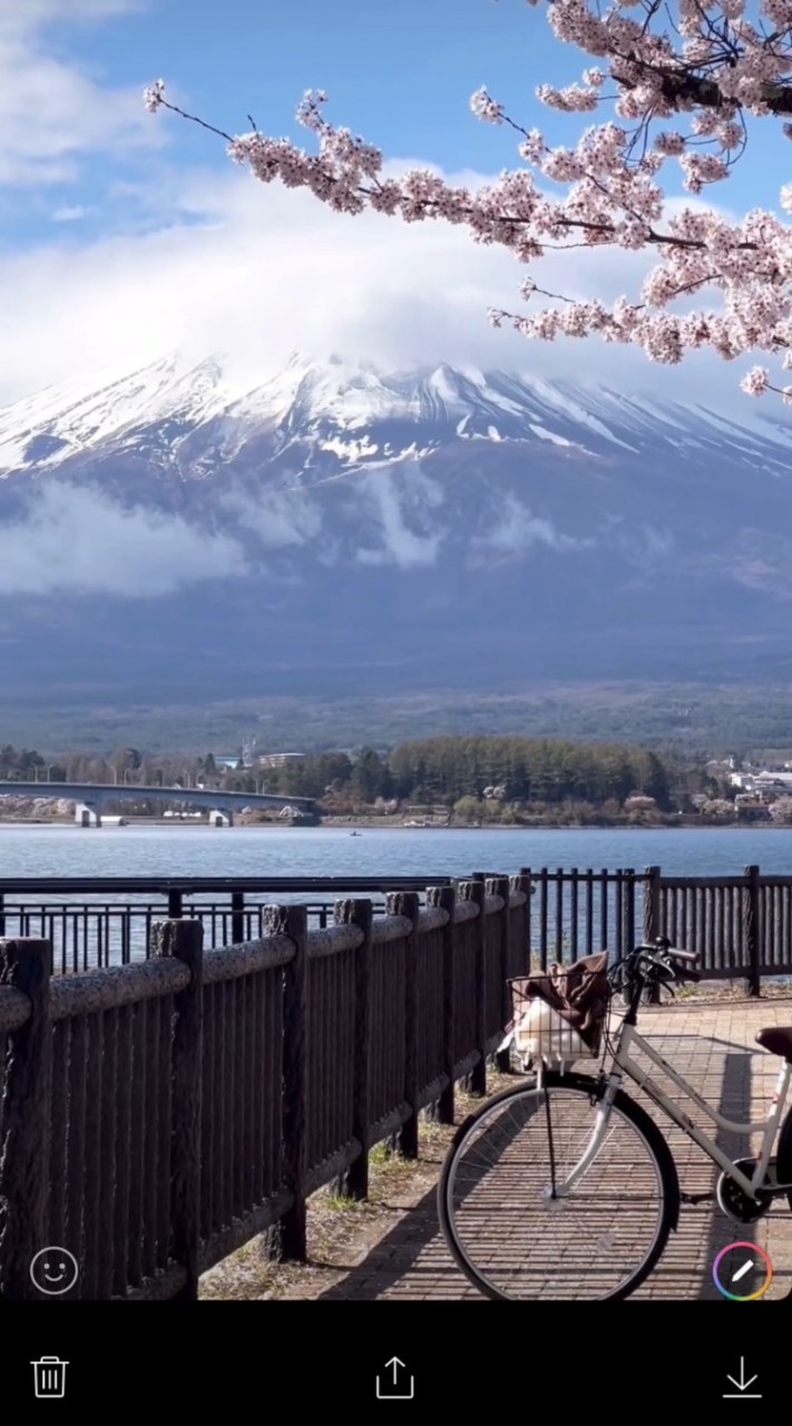櫻.大和民族旅遊交流