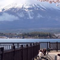 櫻.大和民族旅遊交流