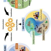 กลุ่มเครือข่ายONEHEALTHเขต3-2026