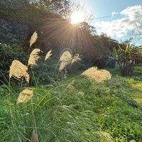 🌱願心天空道場🌼動靜止觀定慧愛💖迎向心的解脫🌤️