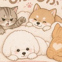 もふもふ-日韓寵物選品店🐾