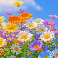 🌈新着🌈新規オープン🍀シニアシングル🍀🌺恋花🌺話そう🌺