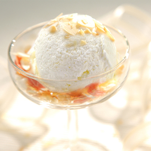 愛家義式冰淇淋-椰香可可娜（70gx20入/箱 ) 愛家純素美食 素食冰品 ice ream 健康全素甜點