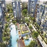 Condo:Sale/Rent
