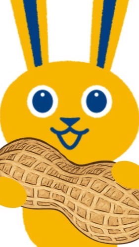 国民民主党　八千代ポスティングチーム