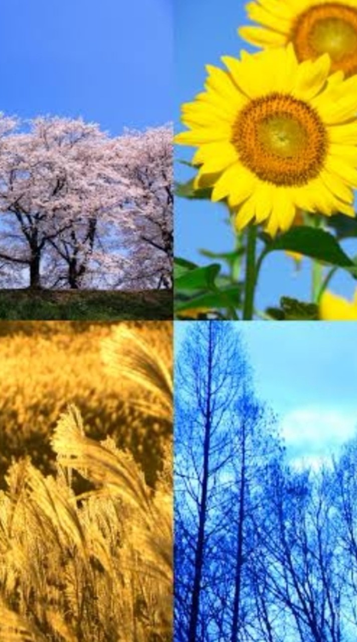 四季の移ろいを感じて語らう茶の間