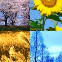 四季の移ろいを感じて語らう茶の間