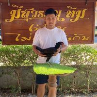 ซุ้มธาราลิตาฟาร์ม 🐔