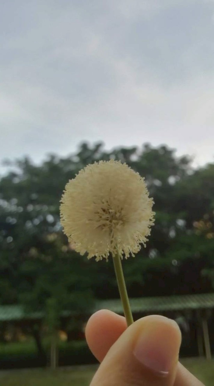 ภัทราพร/19462