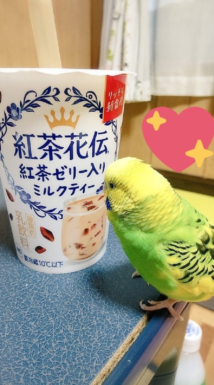 ピヨピヨ星   インコ好き✨のオープンチャット