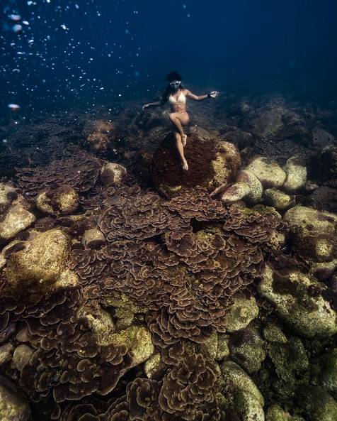 圖片來源：IG @ciaociao.tizu