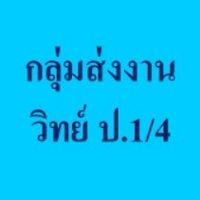 กลุ่มส่งงาน  วิทย์   ป.1/4