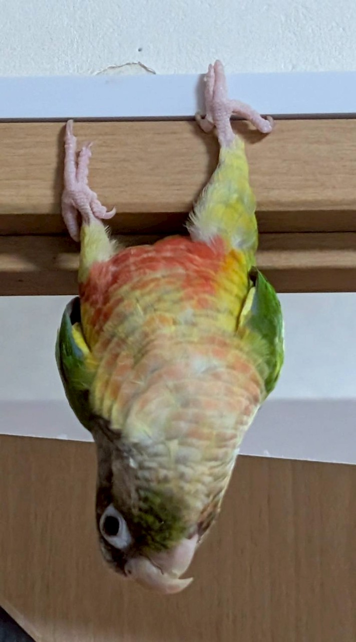 恋バナ&雑談