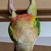 恋バナ&雑談