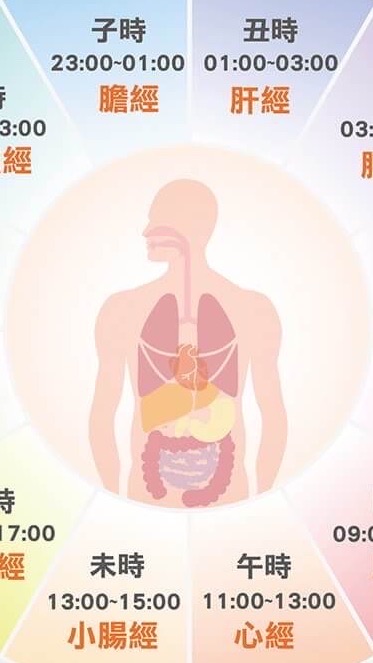 健康吃🥬愉悅瘦🥰研討區