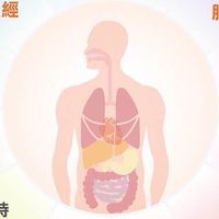 健康吃🥬愉悅瘦🥰研討區