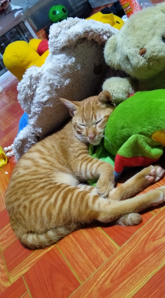 แชตคุยเล่น
