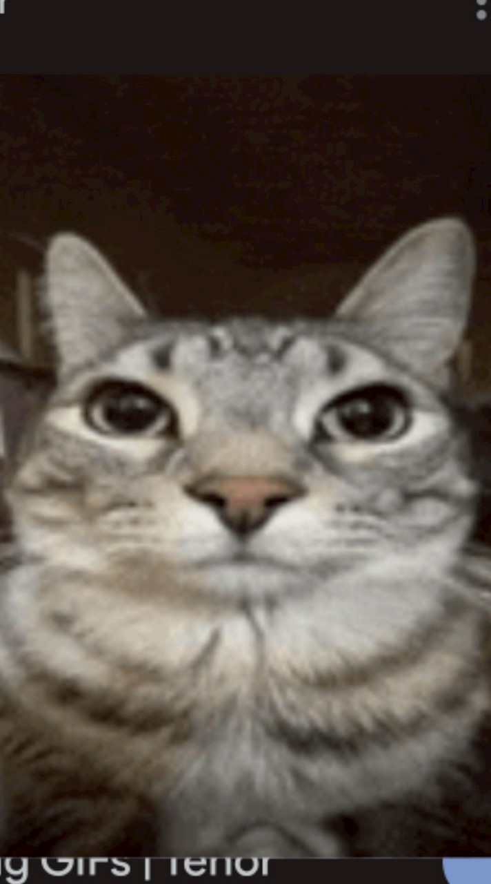 English speakers 2.0!! (multifandom)