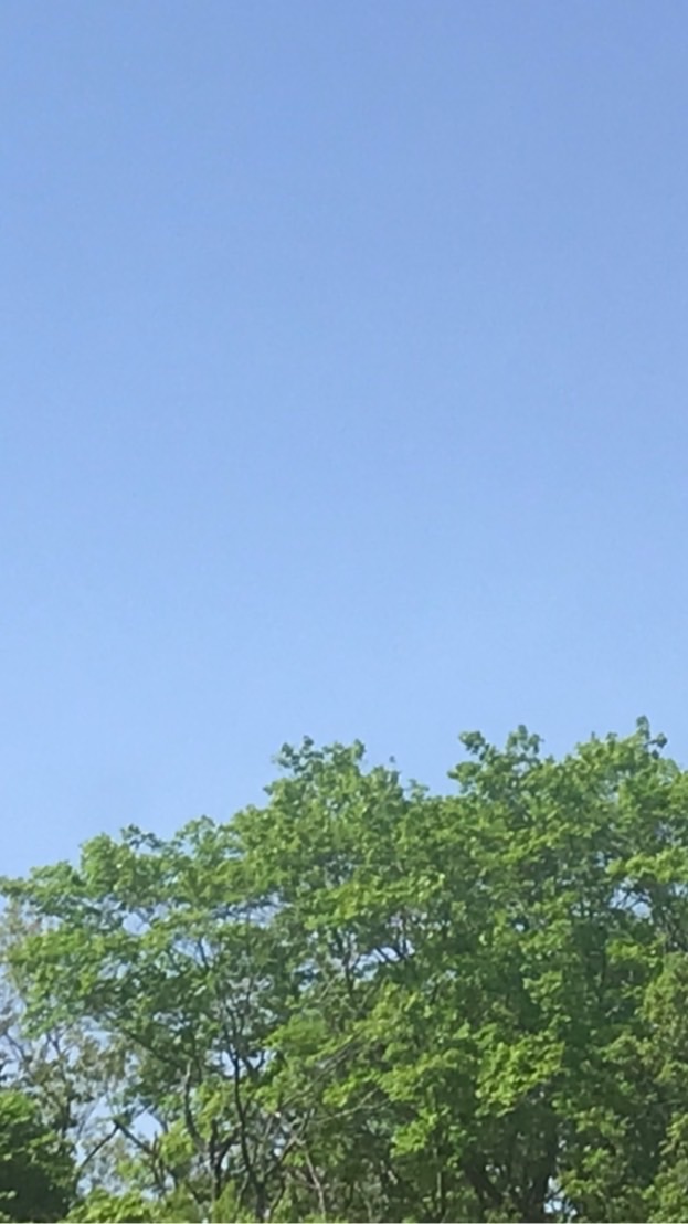 小学生の集まり〜小学生のためのオプチャ〜
