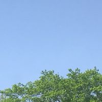 小学生の集まり〜小学生のためのオプチャ〜