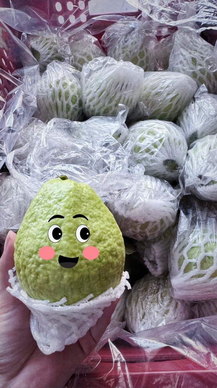 社頭·芭樂小妹（宅配群）