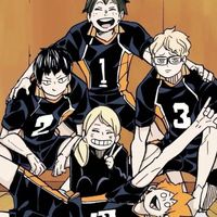 Shachihoko High School ! ( Haikyuu!! )
