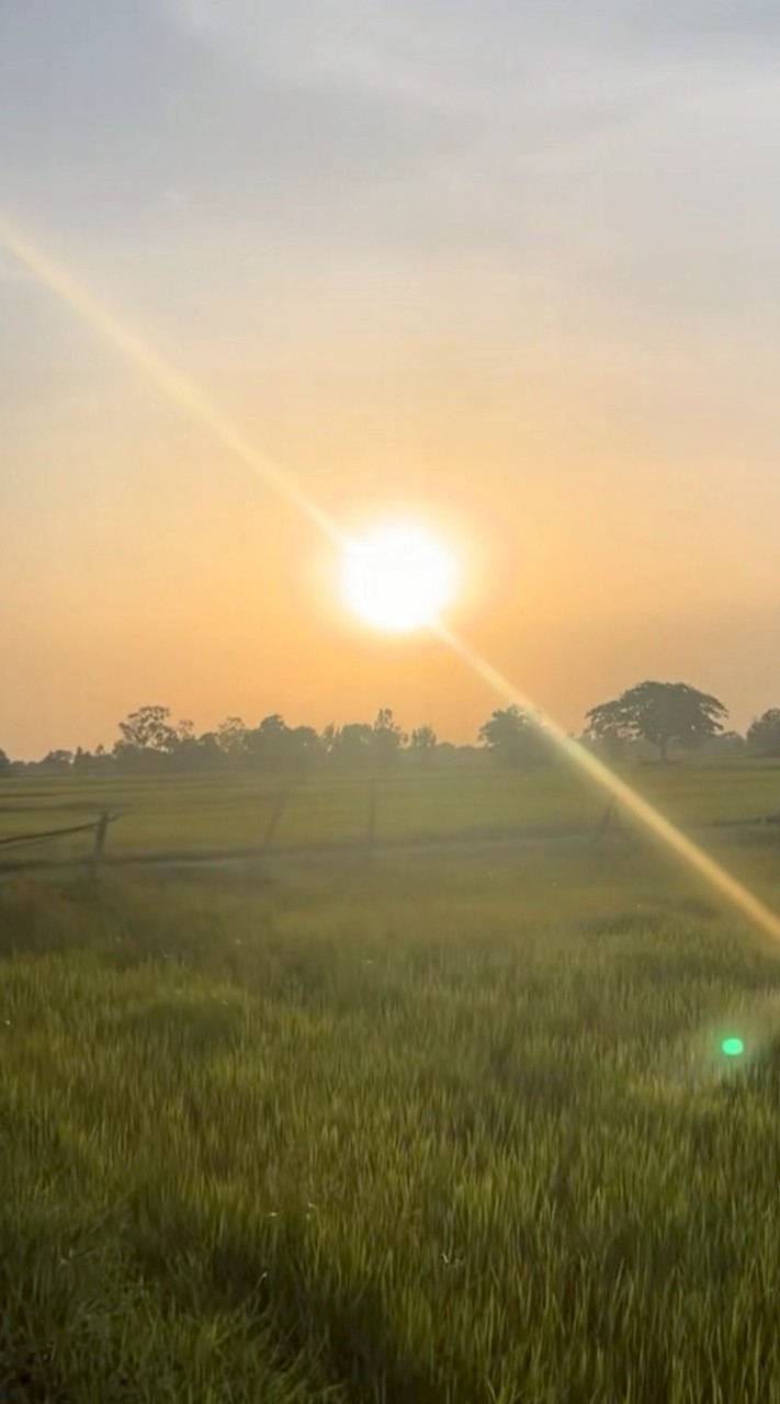 ทำงานกลุ่มเช่น งานภาษาอังกฤษ งานคณิต งานไทยและรายวิชาต่างๆ