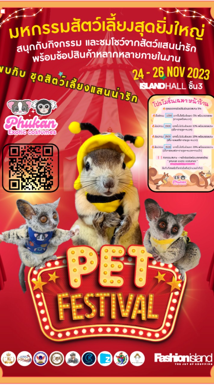 Bushbaby's world