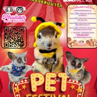 Bushbaby's world