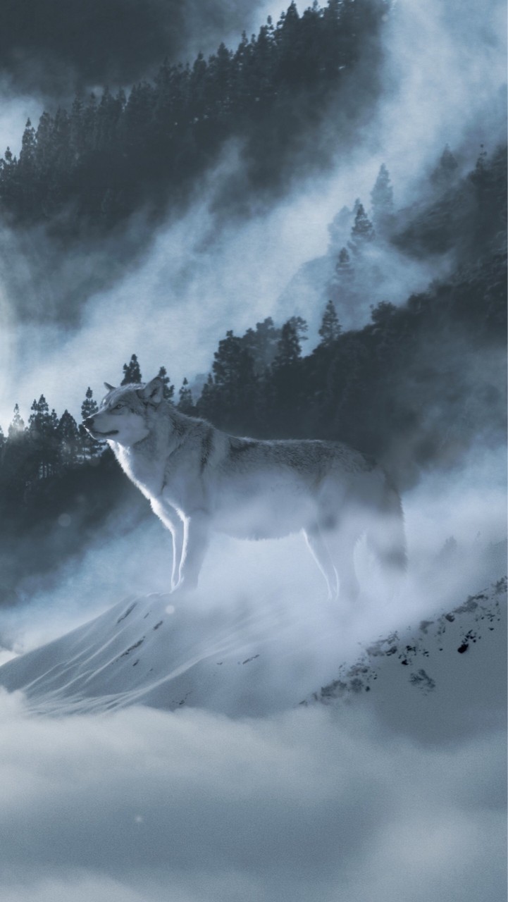 OpenChat w e r e w o l f 🐺