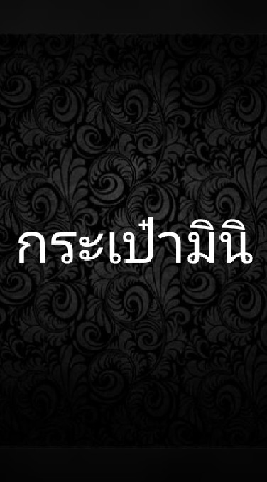 กระเป๋ามินิ และอื่นๆจิปาถะ