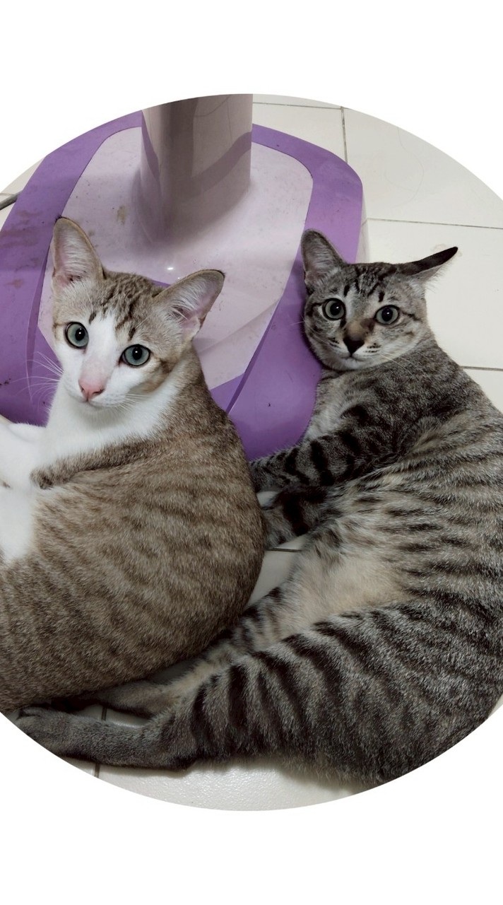 เงินเดือนเรา แต่เจ้านายใช้😺💸🧧