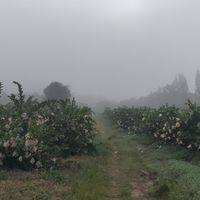 รับส่งคนใน กทม และข้ามจังหวัด