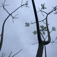 許願後 誰給了希望