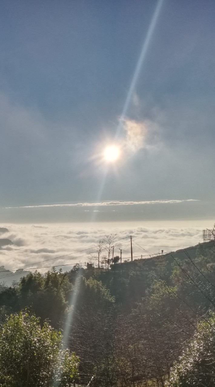 自然療癒水體團隊
