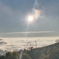 自然療癒水體團隊