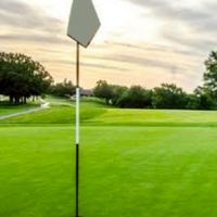 Golf Super Crew ALL STAR