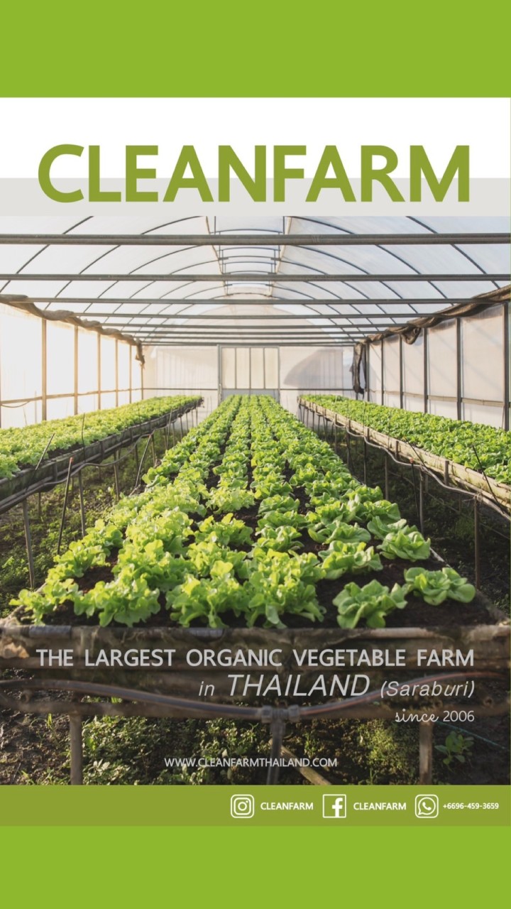 CLEANFARM คลีนฟาร์มแบ่งปันวิธีปลูกผัก-ผลไม้ ให้อร่อยและปลอดภัย