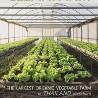 CLEANFARM คลีนฟาร์มแบ่งปันวิธีปลูกผัก-ผลไม้ ให้อร่อยและปลอดภัย