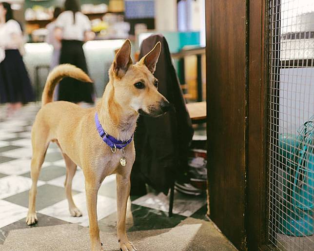 （圖片來源／IG @wilsonseed）