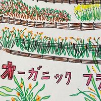 ながさき土中環境とオーガニックフラワー推進委員会（仮）