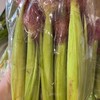 聯新有機蔬果