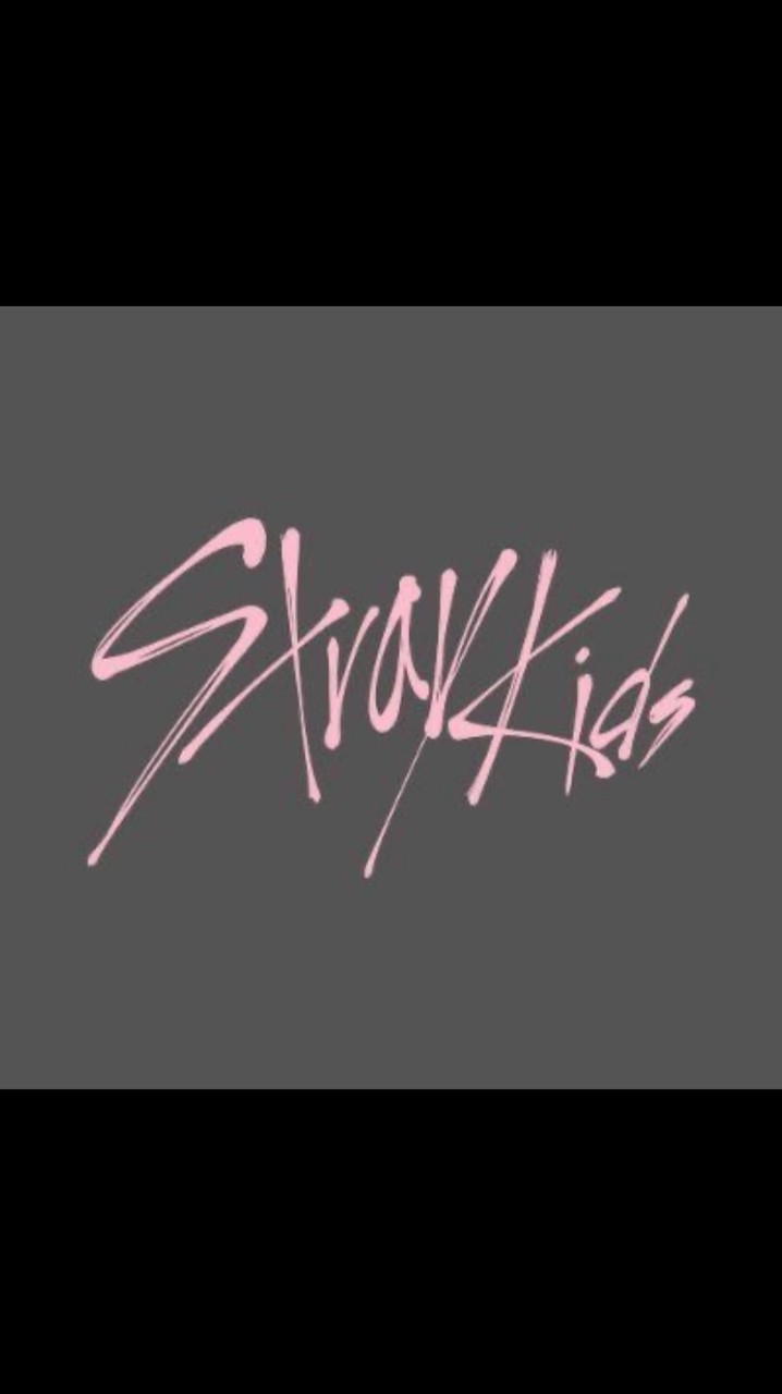 StrayKids Can Stay 🧭