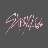 StrayKids Can Stay 🧭